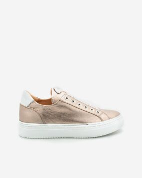 adige collection ete 2019