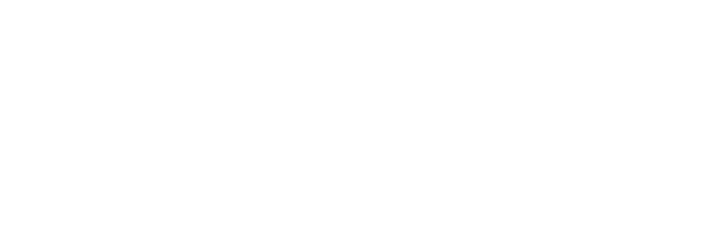 nouveau logo adige blanc